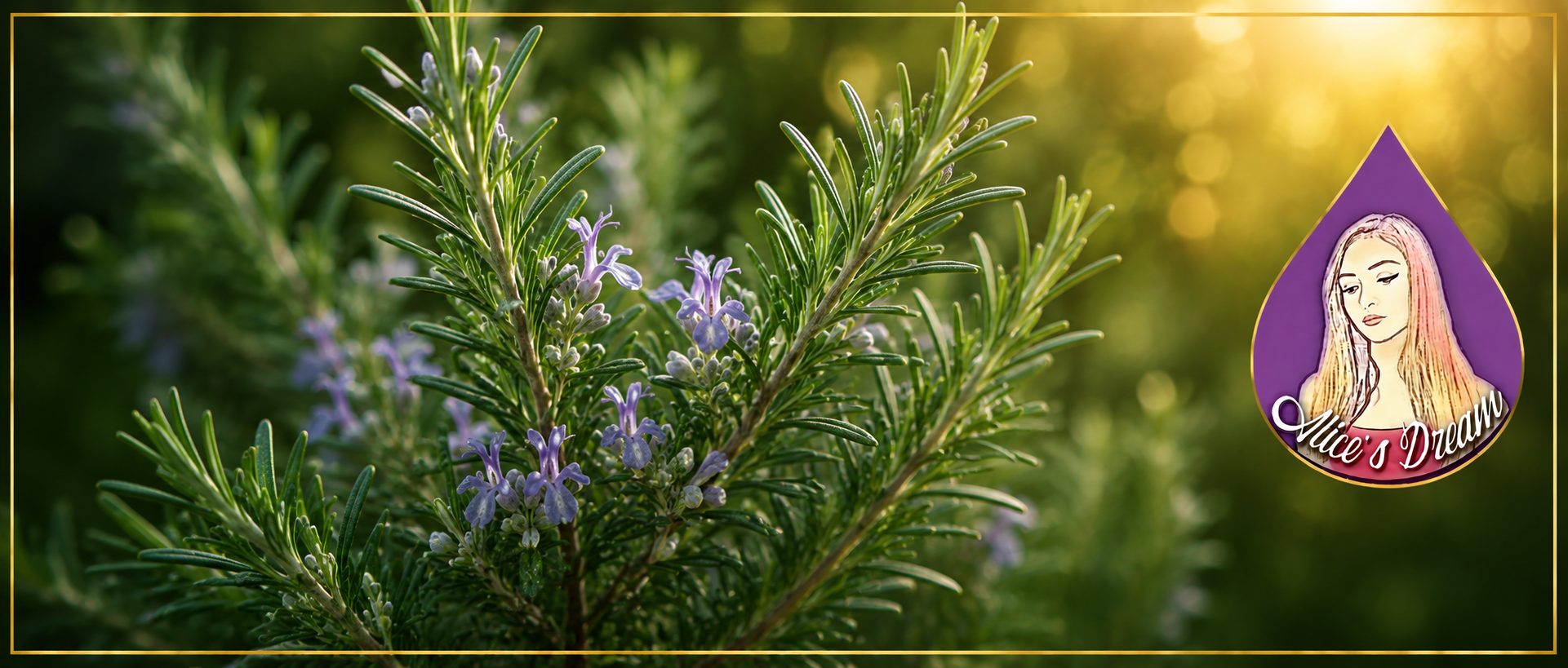 ChatGPT Rosemary