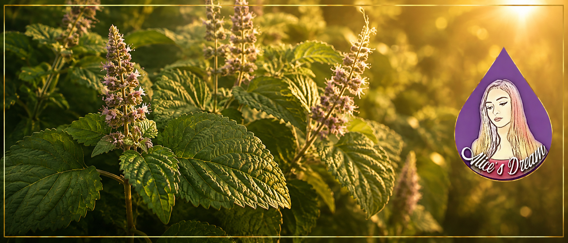 ChatGPT Patchouli